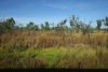 Landscape during the railway journey with the Ghan