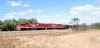 We saw the famous Ghan Train :-)