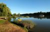 Murray River, Renmark, South Australia
