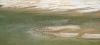 Pelikans at the Lake Eyer, Outback, SA