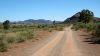 on the way to Parachilna, SA