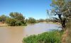 Coooper Creek, Innamincka, Outback, SA