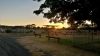 Sunrise at Kulgera, NT