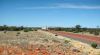 on the road, Stuart Highway between Erldunda and Kulgera, Outback, NT
