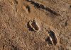 signs in the sand