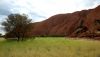 look at the beautiful green around the Uluru - Ayers Rock