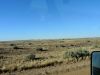 On the road - Oodnadatta Track