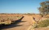 befor sunset at Painted Desert, Arckaringa Station, Outback, SA