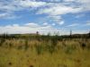 Back to the bitumen road