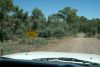 Brachina Gorge, 4WD road, Wilpena, SA