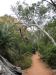 Walk to Standley Chasm