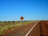 on the road, Stuart Highway between Kulgera and Coober Pedy, Outback, NT