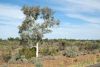 nice landscape, Silverton, Outback, NSW