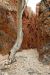Standley Chasm, West Mac Donell Ranges, Outback, NT