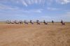 Cadillac Ranch, Amarillo, Texas, USA