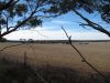 Weathbelt Weizenlandschaft soweit das Auge reicht WA Australia