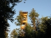 Der Chutzenturm im Wald