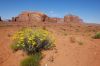 Monument Valley, Utha, USA