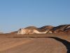 Sleeping Dog at the Breakaways at Coober Pedy, SA Australia