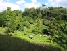 Glendurgan Garden