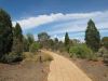 Botanischer Garten von Port Augusta, SA Australia