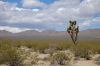 Mojave Desert CA, USA