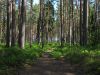 Wanderweg Käsmu, Estonia