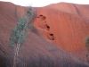 Heart Uluru, NT Australia