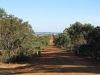 Gravel Road in WA Australia (Wanerie - Lancelin)