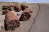 Petrified Wood at the Petriefied Forest National Park, Arizona, USA