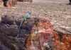 Petrified Wood at the Petriefied Forest National Park, Arizona, USA